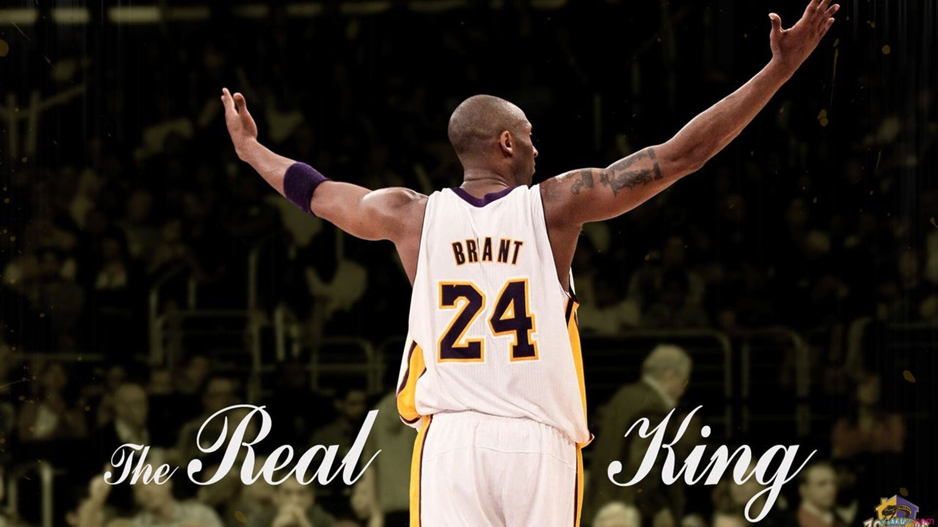 开云体育登录-烽火再燃，跨界王者对决，坎特利剑出鞘